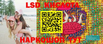 гашик Кулебаки